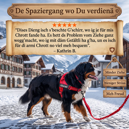 Alurao™ - Anti-Zug Hundegeschirr